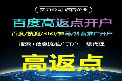 某公司SEM推广的失败教训与成功经验